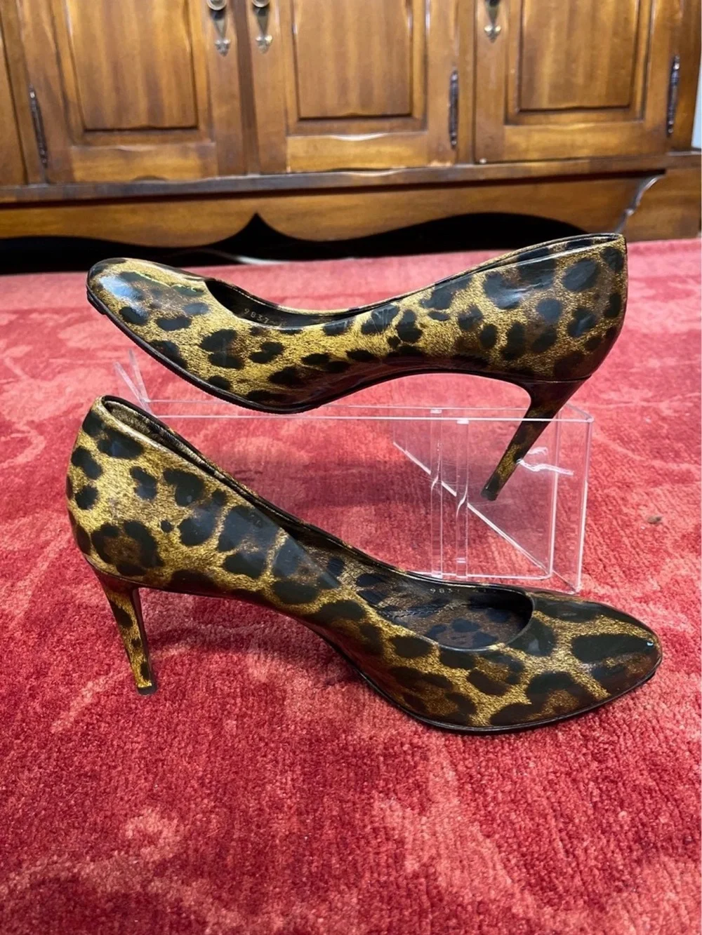 Dolce & Gabbana stylish leopard